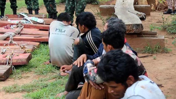 中国十大城市公园2026年本年度热度口碑双榜对比