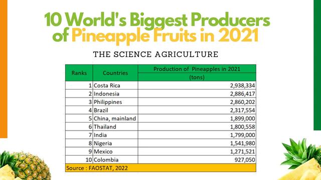 世界上最危险的水果2026年本年度热度口碑双榜对比