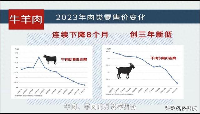 中国十大广受青睐吃的羊肉品种2026年本年度热度口碑双榜对比