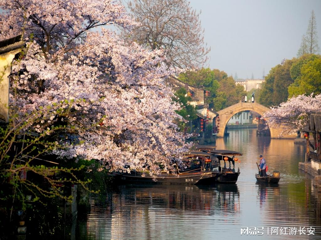 无锡适合中老年旅游的地方2026年本年度热度口碑双榜对比
