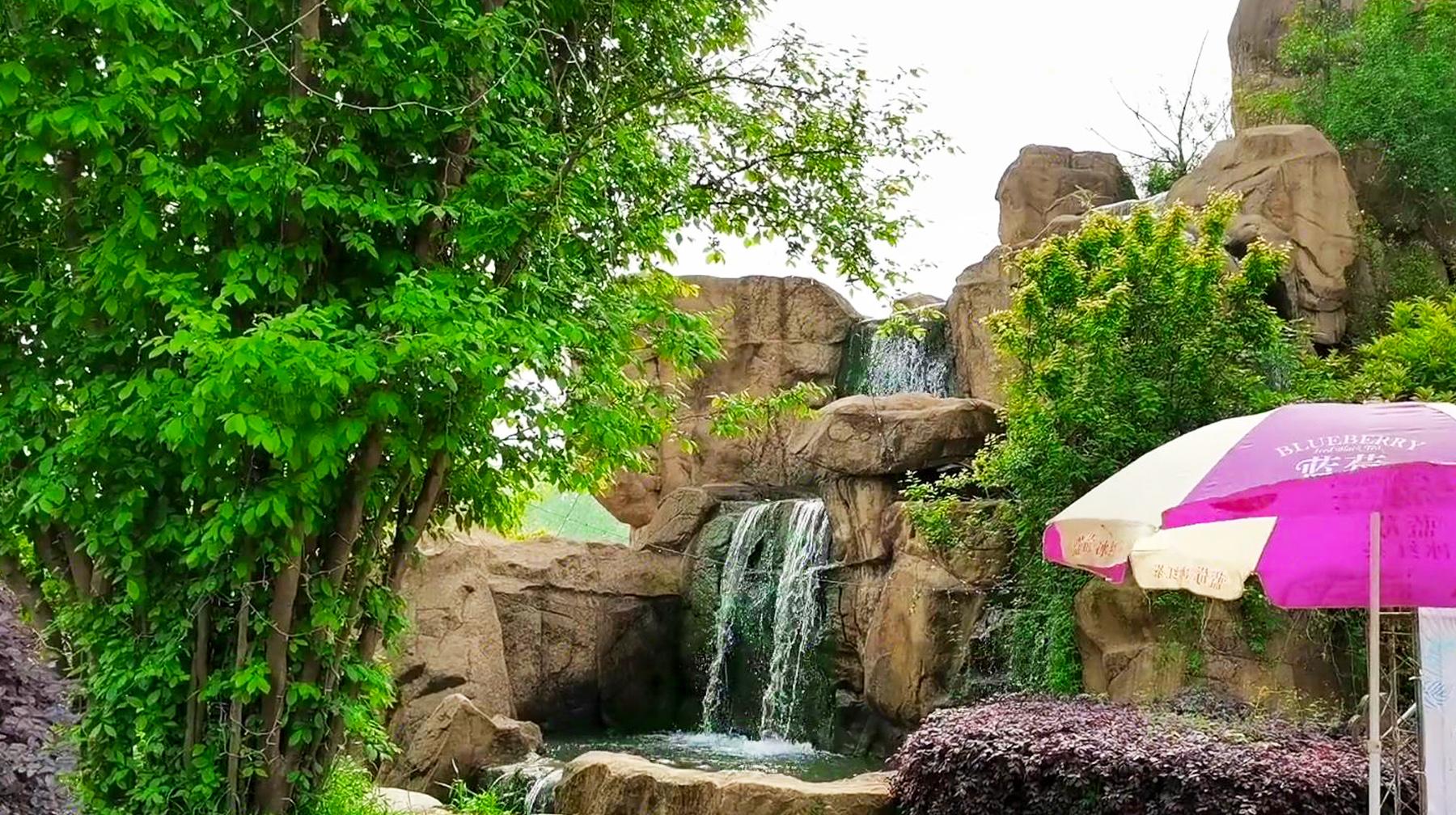 武汉市蔡甸区十大著名旅游景点2026年本年度热度口碑双榜对比