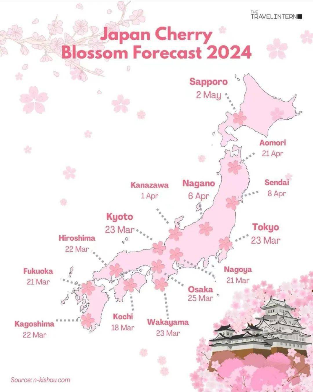 日本樱花最美的十个地方2026年本年度热度口碑双榜对比