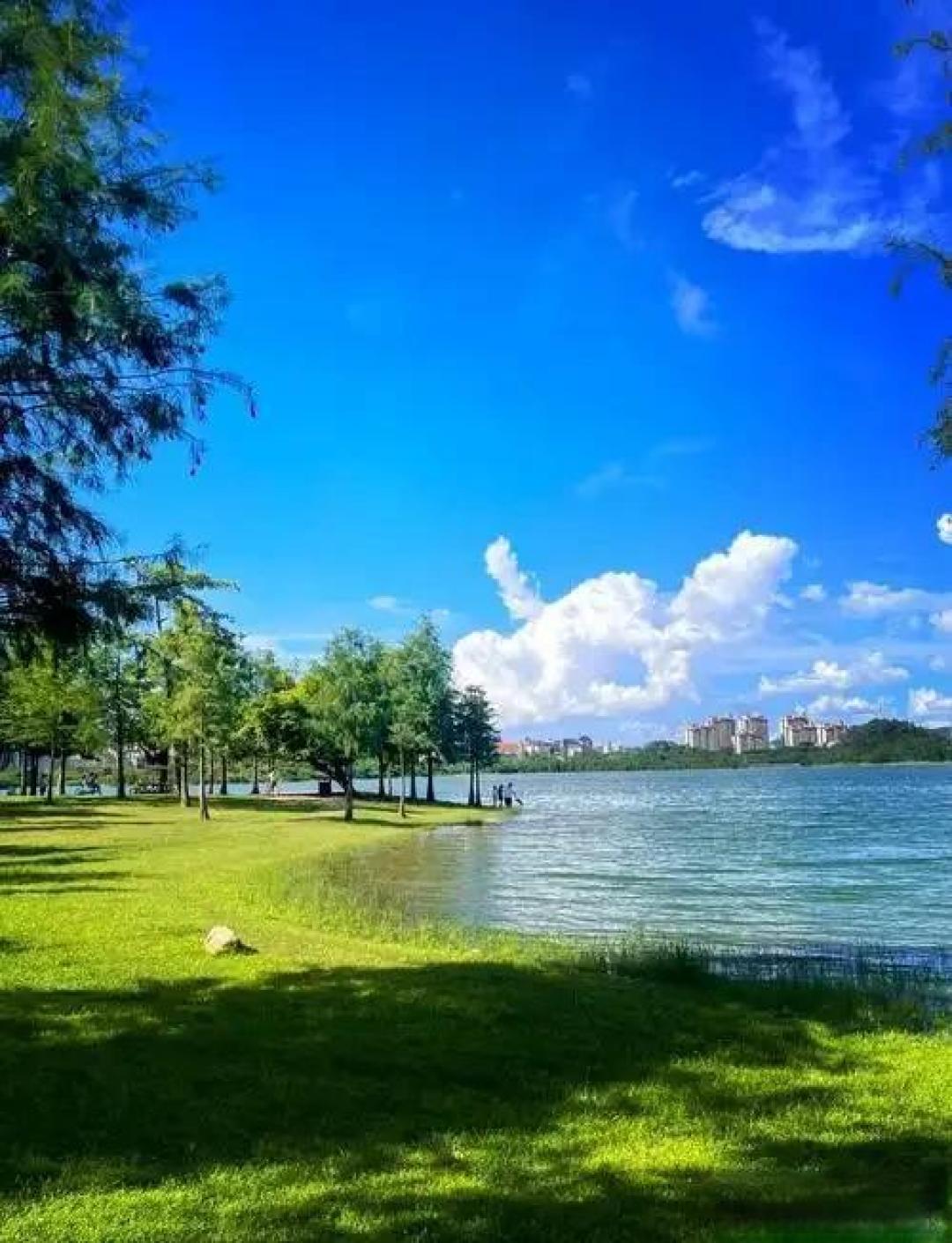 东莞五一十大热门旅游景点2026年本年度热度口碑双榜对比