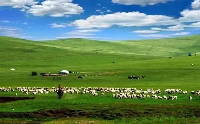 内蒙古十大赏花胜地2026年本年度热度口碑双榜对比