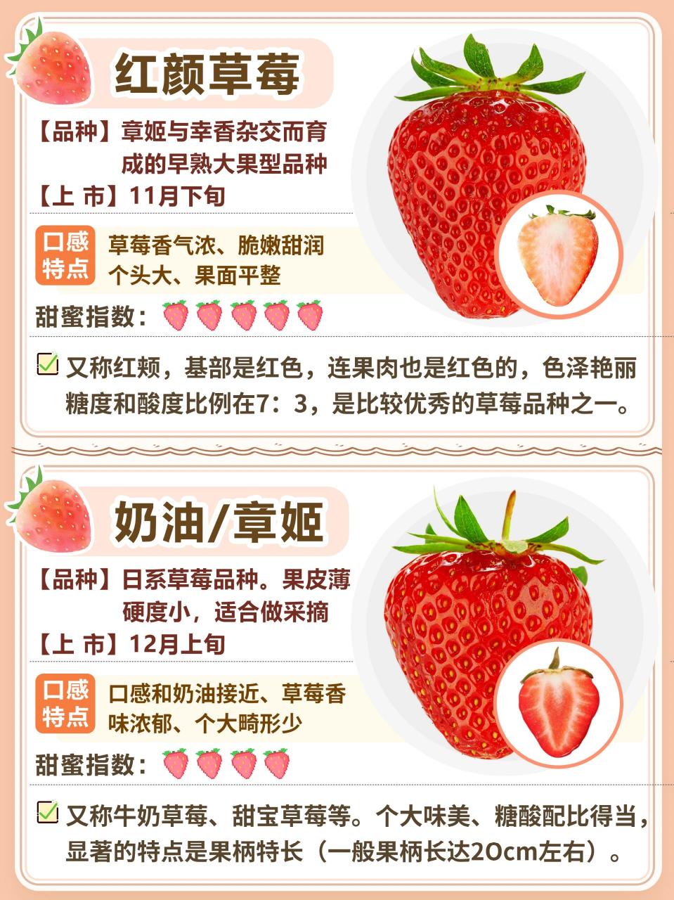 中国草莓十大品种2026年本年度热度口碑双榜对比