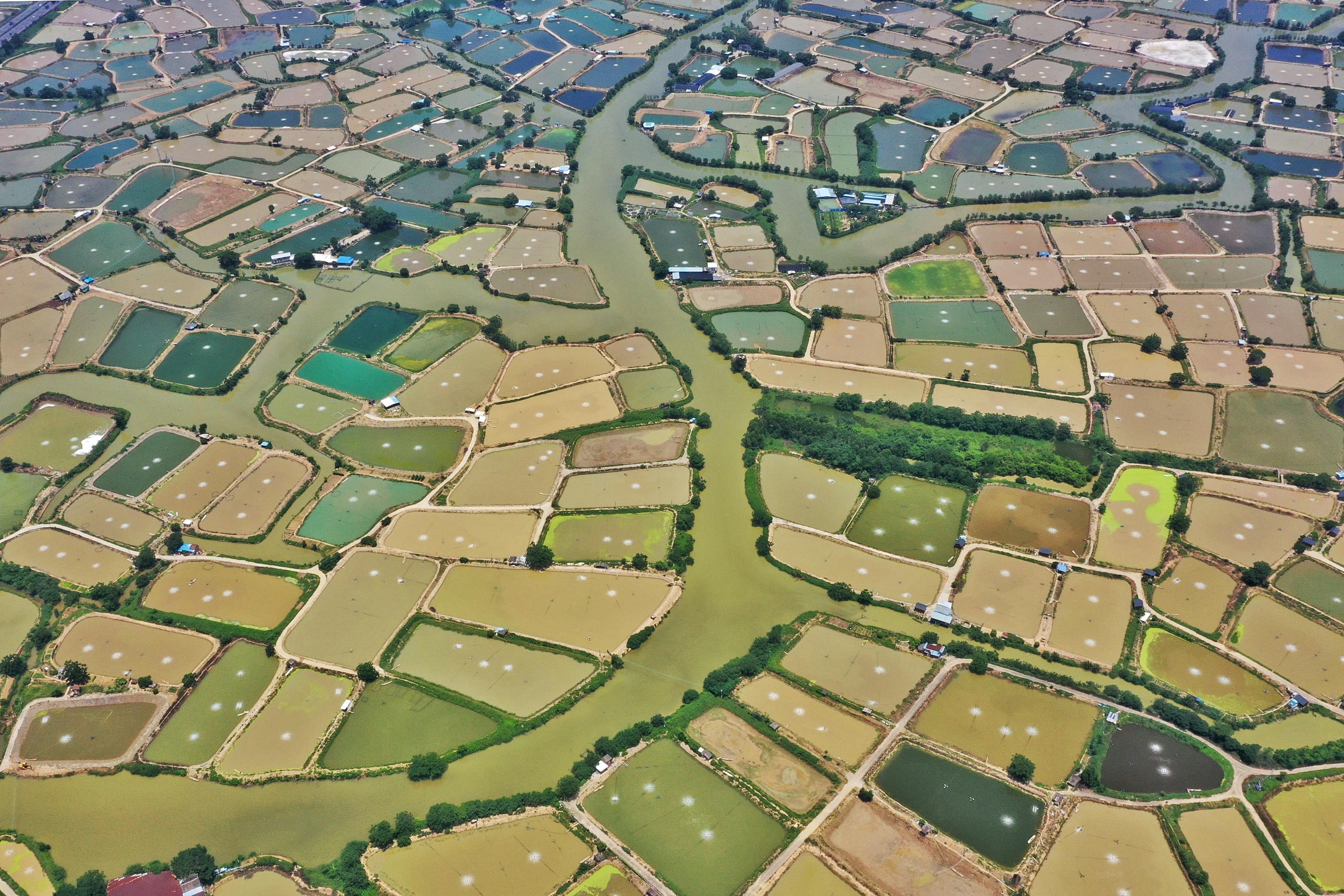 佛山十大乡村旅游景点2026年本年度热度口碑双榜对比 佛山十大乡村旅游景点2026年本年度热度口碑双榜对比