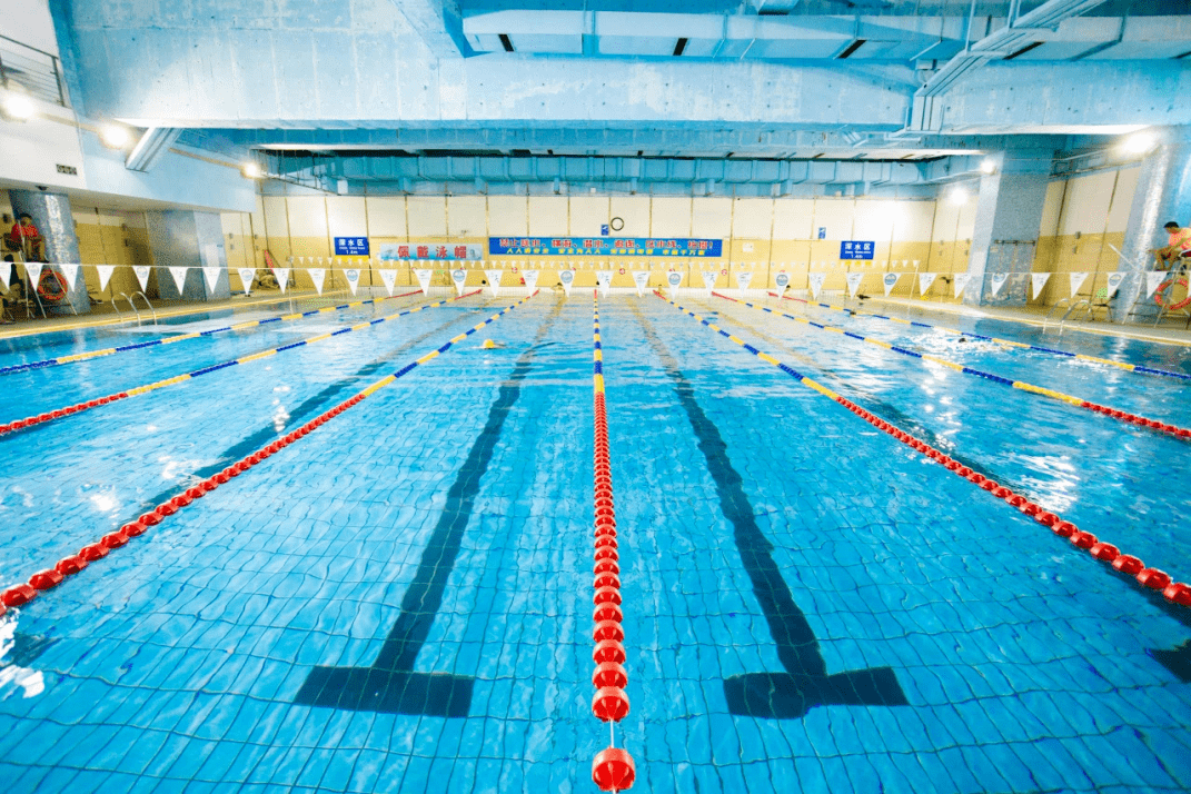 深圳十大游泳馆2026年本年度热度口碑双榜对比 深圳十大游泳馆2026年本年度热度口碑双榜对比