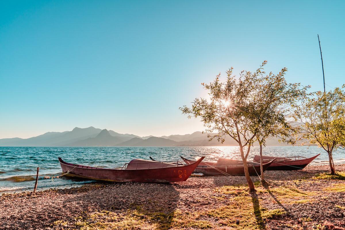 2026年广西职业师范学院招生章程 2026年广西职业师范学院招生章程