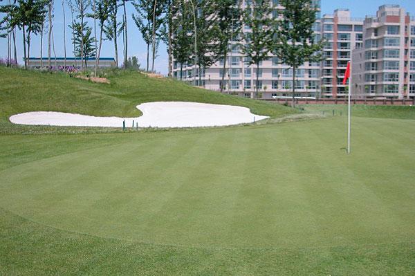 北京十大高尔夫球场2026年本年度热度口碑双榜对比 北京十大高尔夫球场2026年本年度热度口碑双榜对比