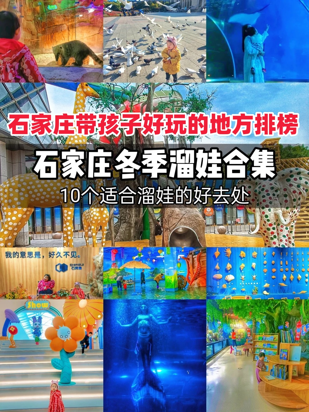 石家庄十大室内好玩的地方2026年本年度热度口碑双榜对比 石家庄十大室内好玩的地方2026年本年度热度口碑双榜对比