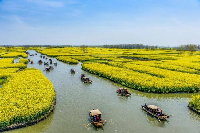 长沙十大赏油菜花好去处2026年本年度热度口碑双榜对比 长沙十大赏油菜花好去处2026年本年度热度口碑双榜对比