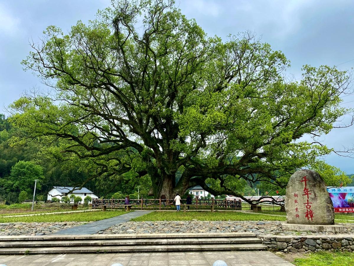 江西十大著名道观2026年本年度热度口碑双榜对比