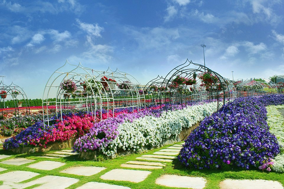 世界十大著名植物园2026年本年度热度口碑双榜对比