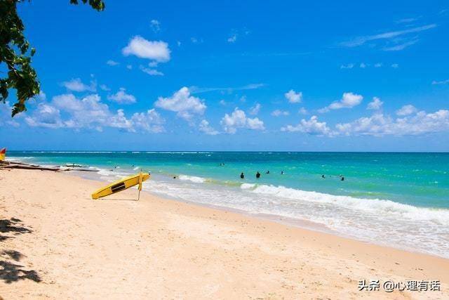 广东十大冲浪胜地2026年本年度热度口碑双榜对比