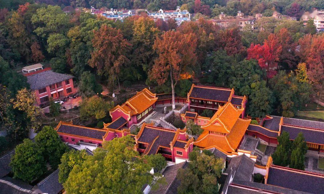 长沙十大名山2026年本年度热度口碑双榜对比