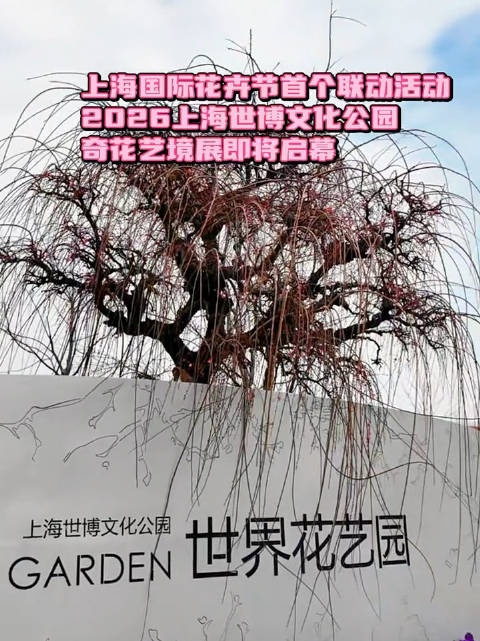 世界十大著名园艺展2026年本年度热度口碑双榜对比