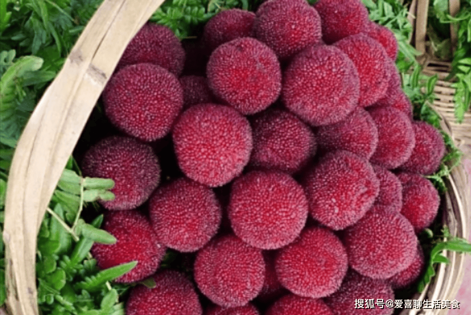 全国十大杨梅产地2026年本年度热度口碑双榜对比