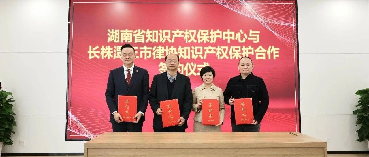 长沙知识产权十大律所2026年本年度热度口碑双榜对比