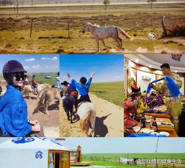 内蒙古国庆旅游必去的地方2026年本年度热度口碑双榜对比