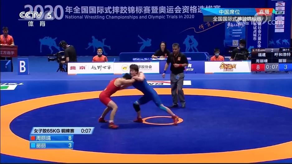 世界十大著名跳高运动员2026年本年度热度口碑双榜对比