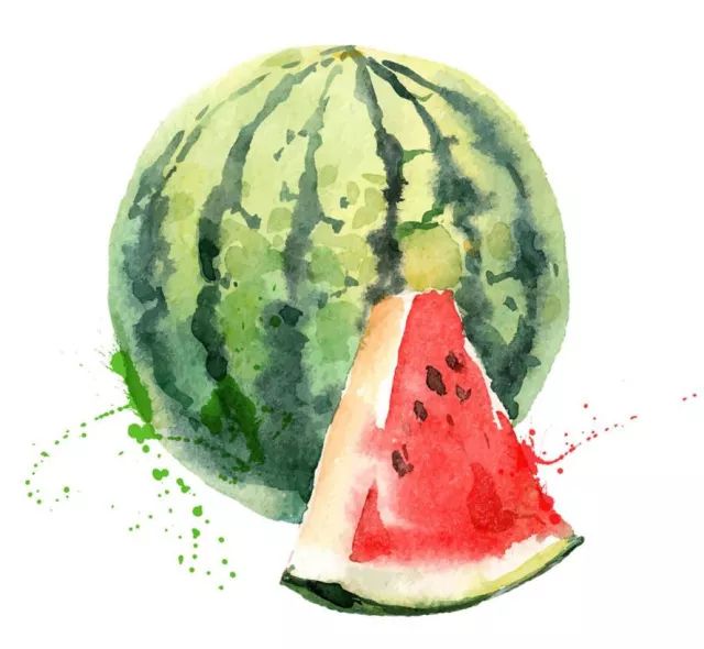 中国十大西瓜产地2026年本年度热度口碑双榜对比