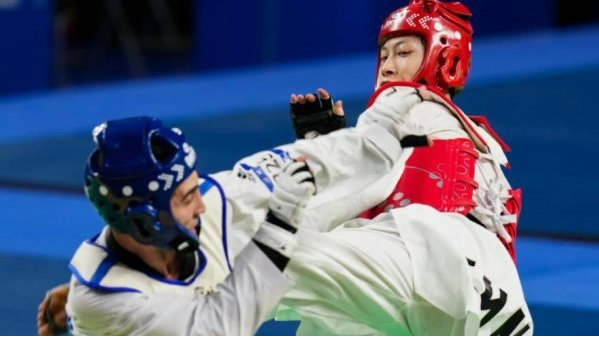 中国十大著名跆拳道运动员2026年本年度热度口碑双榜对比