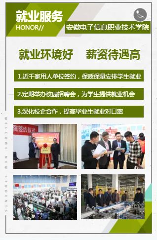 2026年安徽电子信息职业技术学院招生章程