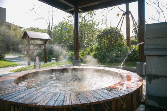 成都十大温泉2026年本年度热度口碑双榜对比