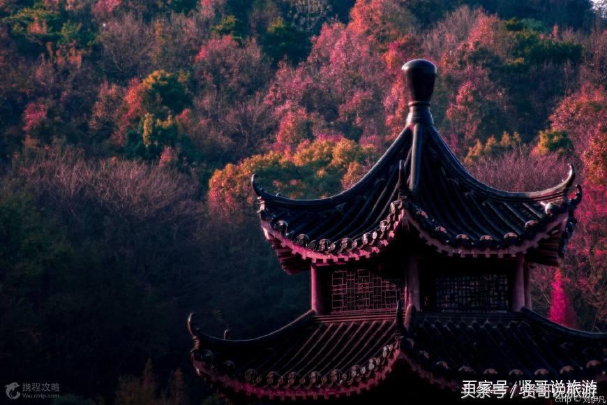 长沙十大赏红叶好地方2026年本年度热度口碑双榜对比