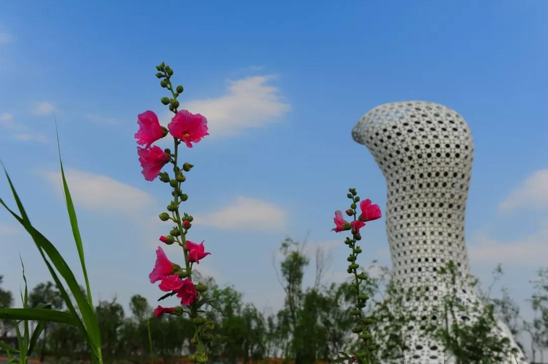 西安十大徒步景点2026年本年度热度口碑双榜对比