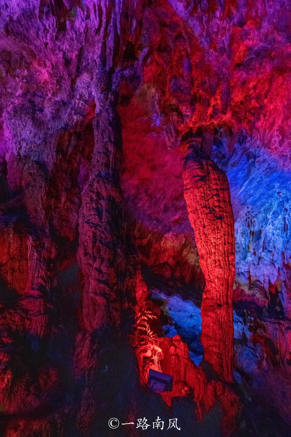 中国溶洞之最2026年本年度热度口碑双榜对比