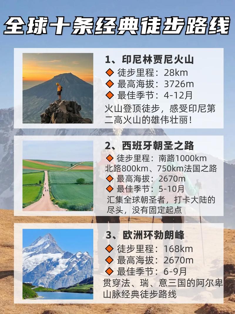 世界十大著名的登山家2026年本年度热度口碑双榜对比