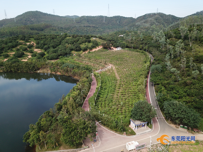 东莞十大森林公园2026年本年度热度口碑双榜对比 东莞十大森林公园2026年本年度热度口碑双榜对比