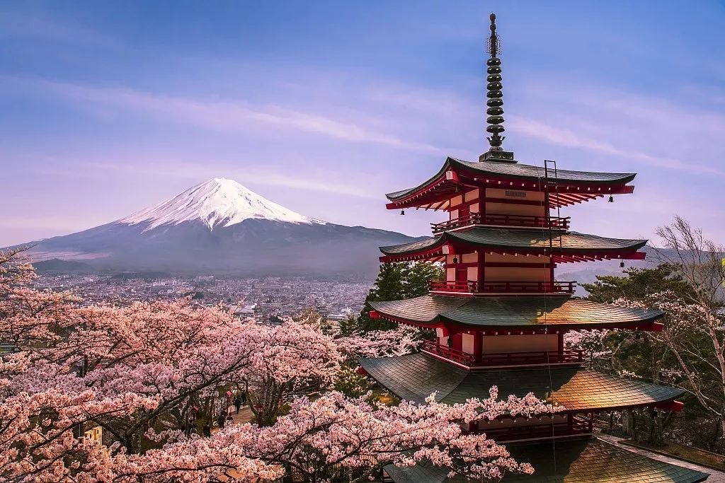 大连十大著名道观2026年本年度热度口碑双榜对比