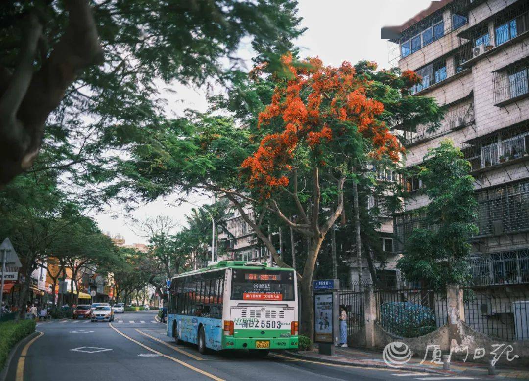 厦门十大钓鱼好地方2026年本年度热度口碑双榜对比