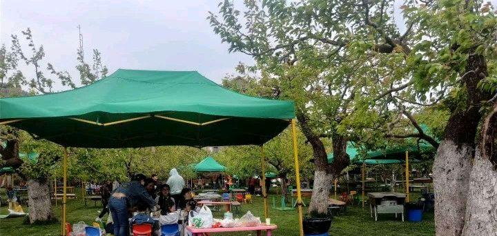 昆明十大适合野餐的好地方2026年本年度热度口碑双榜对比