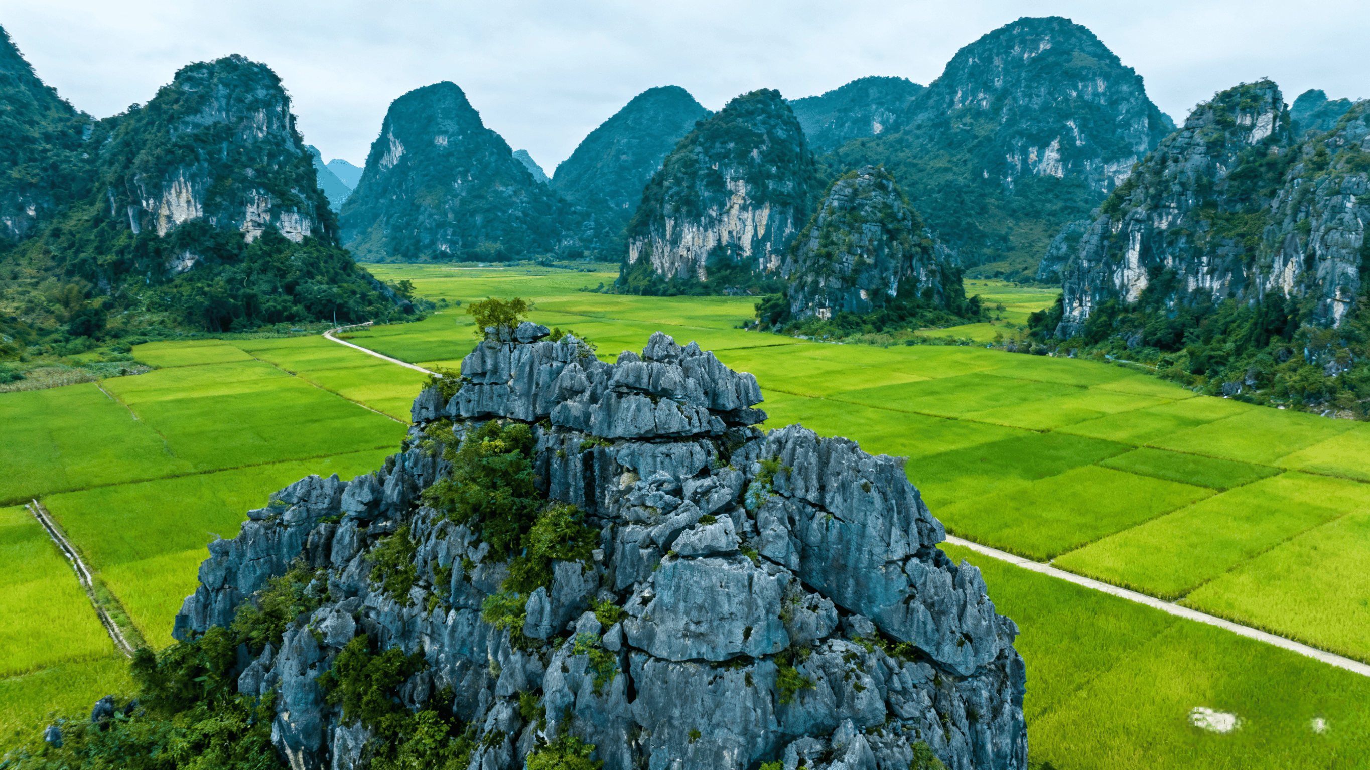 广西十大广受青睐玩的景点2026年本年度热度口碑双榜对比 广西十大广受青睐玩的景点2026年本年度热度口碑双榜对比