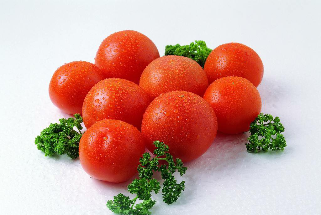 十大番茄家常菜2026年本年度热度口碑双榜对比 十大番茄家常菜2026年本年度热度口碑双榜对比