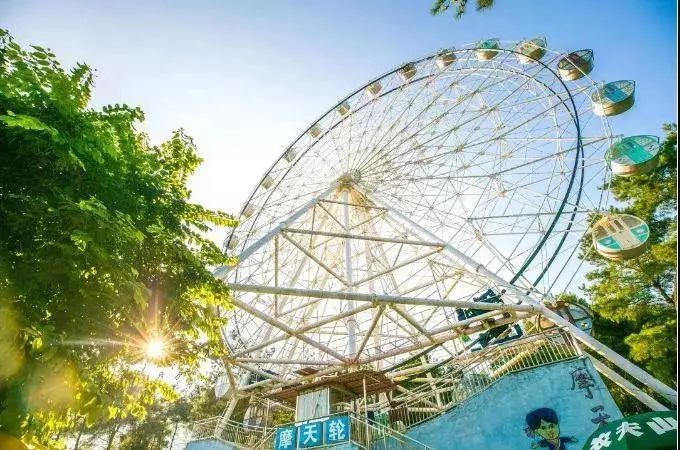 广东十大适合亲子旅游的地方2026年本年度热度口碑双榜对比 广东十大适合亲子旅游的地方2026年本年度热度口碑双榜对比