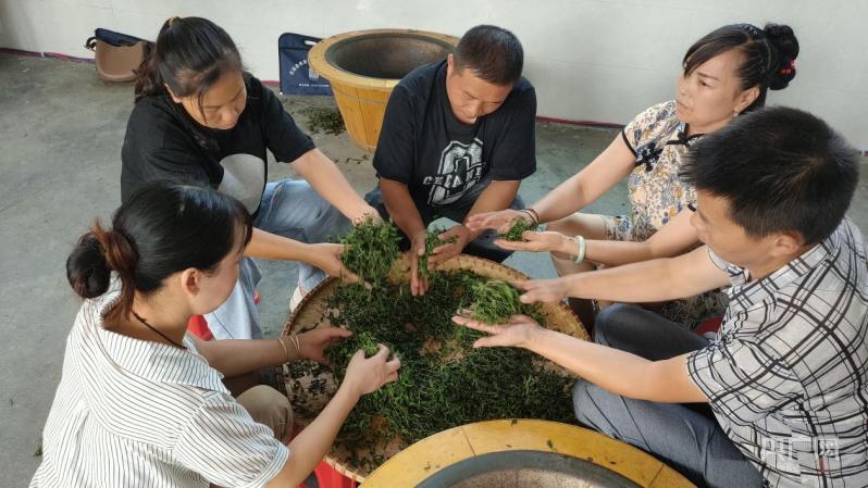 中国十大茶叶批发市场2026年本年度热度口碑双榜对比