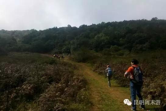 昆明十大爬山好去处2026年本年度热度口碑双榜对比