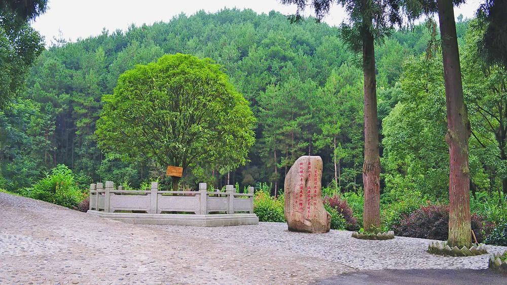 贵州十大火车站2026年本年度热度口碑双榜对比 贵州十大火车站2026年本年度热度口碑双榜对比