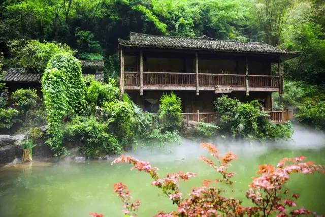 酉阳桃花源十大特产2026年本年度热度口碑双榜对比 酉阳桃花源十大特产2026年本年度热度口碑双榜对比