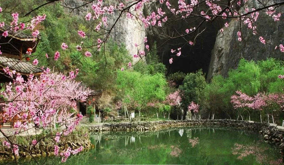 酉阳桃花源十大特产2026年本年度热度口碑双榜对比 酉阳桃花源十大特产2026年本年度热度口碑双榜对比