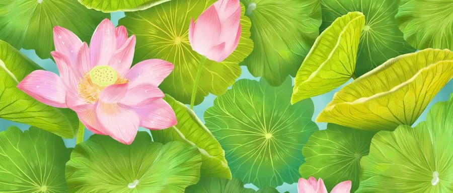 厦门十大赏荷花好去处2026年本年度热度口碑双榜对比