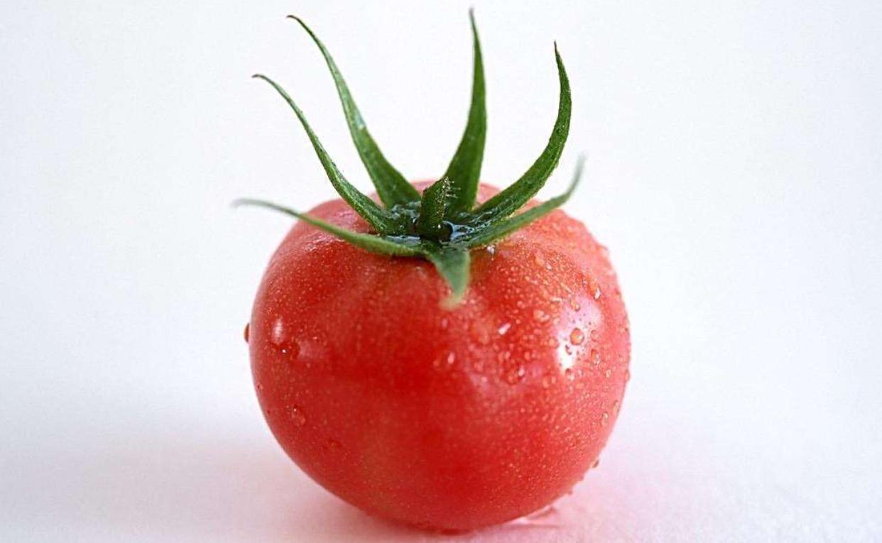 富含维生素A的10种蔬菜2026年本年度热度口碑双榜对比