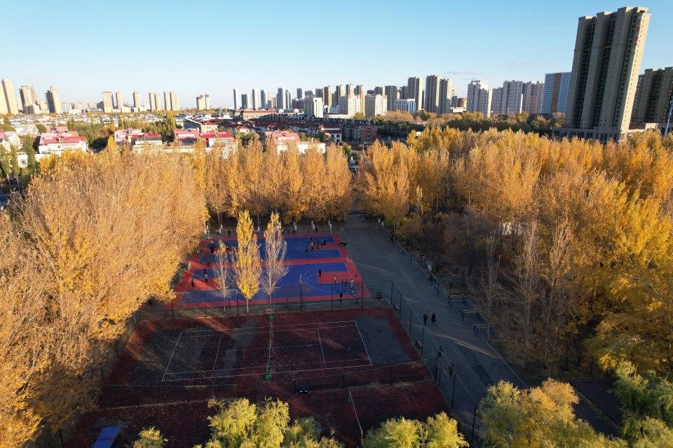 哈尔滨十大广受青睐玩的景点2026年本年度热度口碑双榜对比 哈尔滨十大广受青睐玩的景点2026年本年度热度口碑双榜对比