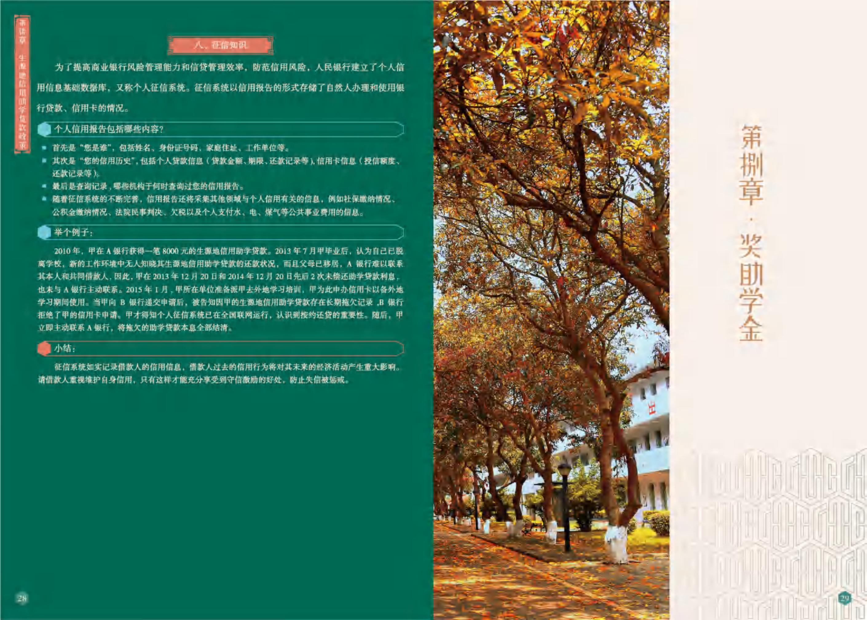 2026年广西信息职业技术学院招生章程