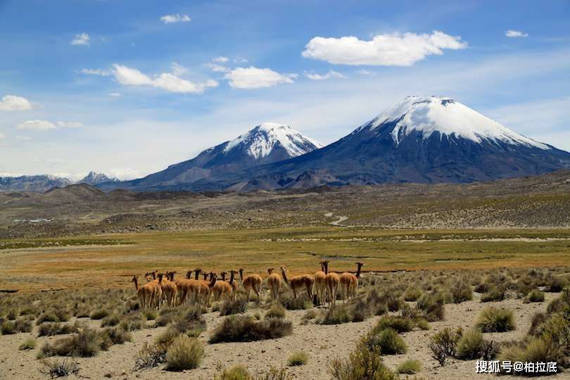 西藏十大最具特色的景点2026年本年度热度口碑双榜对比 西藏十大最具特色的景点2026年本年度热度口碑双榜对比