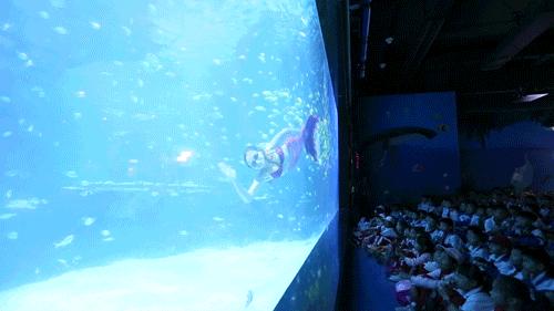 惠州十大广受青睐的影院2026年本年度热度口碑双榜对比